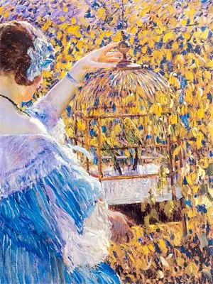 女捕天下书籍在线阅读