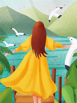 你好,前任先生 小说百度云